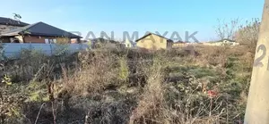 Фото к объявлению #22220487