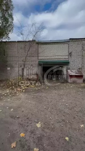 Фото к объявлению #21634539