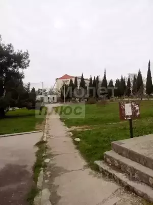 Фото к объявлению #22239676