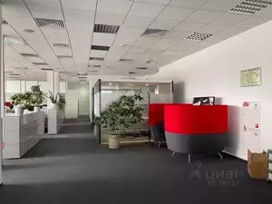 Фото к объявлению #19826753