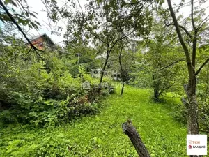 Фото к объявлению #20518825