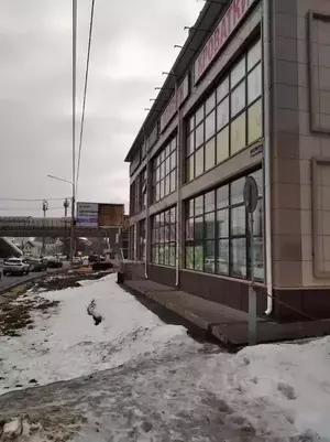 Фото к объявлению #22280064