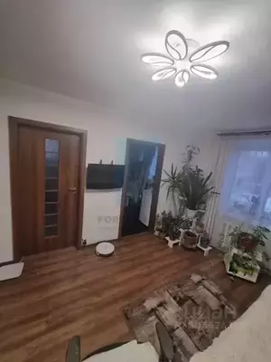 Фото к объявлению #21389834