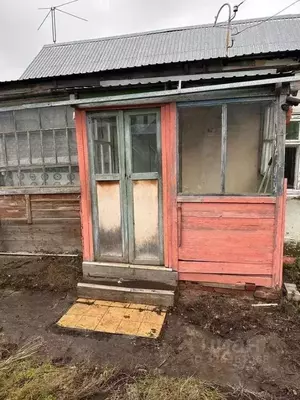 Фото к объявлению #22255471