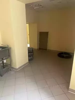 Фото к объявлению #20221542