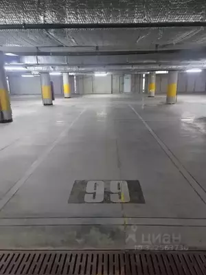 Фото к объявлению #22202412