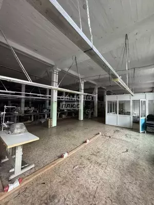 Фото к объявлению #22219214