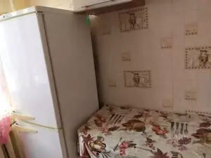 Фото к объявлению #22211335