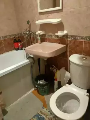 Фото к объявлению #21394249