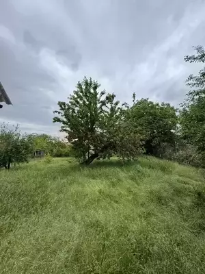 Фото к объявлению #22188459