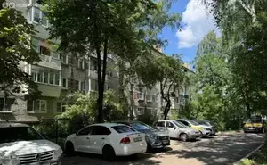 Фото к объявлению #20130173