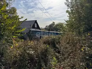 Фото к объявлению #