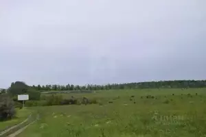 Фото к объявлению #21668356