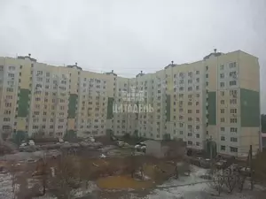 Фото к объявлению #21774220