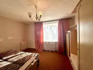 Фото к объявлению #20650916