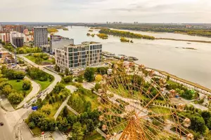 Фото к объявлению #22217457