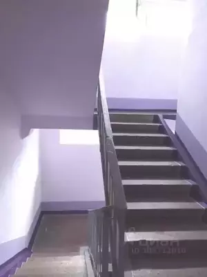 Фото к объявлению #20982525