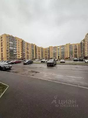 Фото к объявлению #22268146