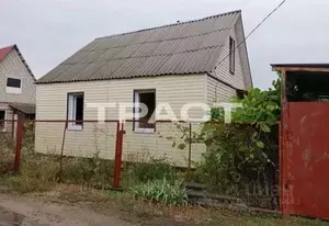 Фото к объявлению #20948211