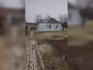 Фото к объявлению #20612633