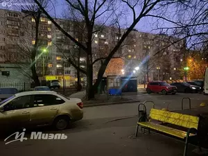 Фото к объявлению #21937856