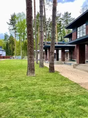 Фото к объявлению #20727765