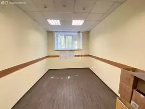 Фото к объявлению #21012154