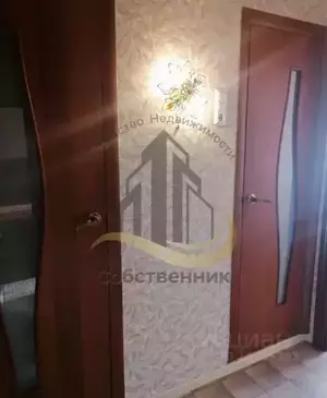 Фото к объявлению #20146147