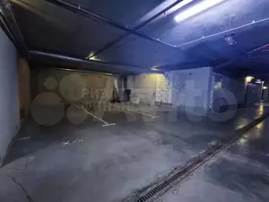 Фото к объявлению #22096949