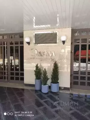 Фото к объявлению #20727217