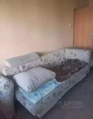 Фото к объявлению #22168994