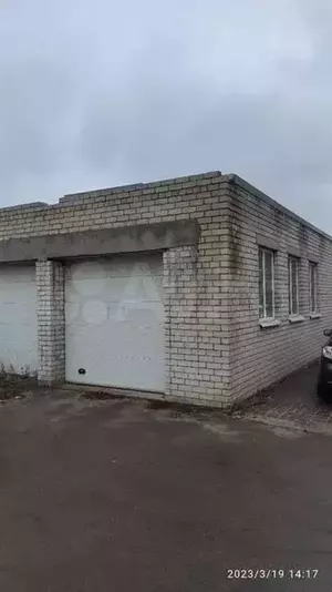Фото к объявлению #21258024