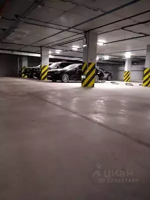 Фото к объявлению #22256224