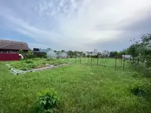 Фото к объявлению #22161375