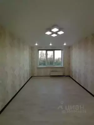 Фото к объявлению #21476473