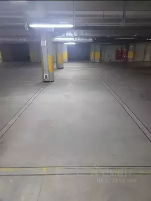 Фото к объявлению #22206327