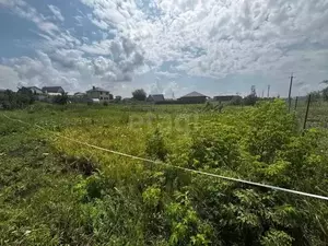 Фото к объявлению #22121910