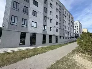 Фото к объявлению #22100407