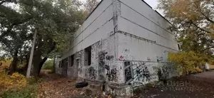 Фото к объявлению #22200808