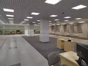 Фото к объявлению #19774748