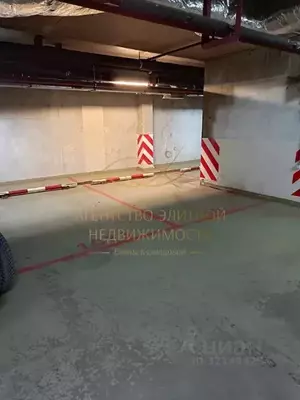 Фото к объявлению #22156067