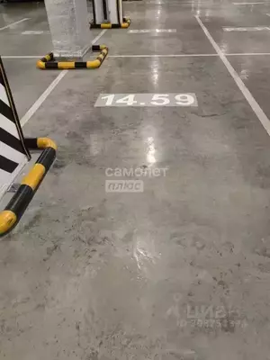 Фото к объявлению #21502936