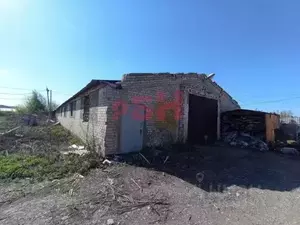 Фото к объявлению #20158620