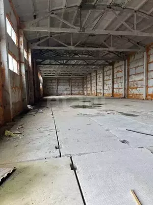 Фото к объявлению #22219224