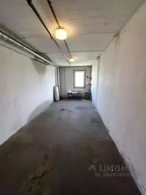 Фото к объявлению #20950164