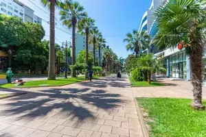 Фото к объявлению #20951226