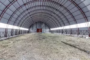 Фото к объявлению #22202799