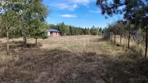 Фото к объявлению #22167150