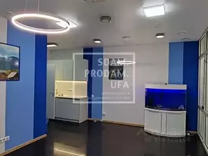 Фото к объявлению #22150588