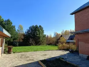 Фото к объявлению #22274689